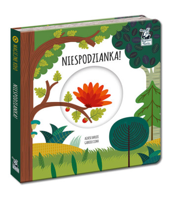 Kapitan Nauka Maģiskais ritenis. Pārsteigums! KS0674
