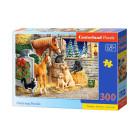 Puzzle 300 gabali Gathering Friends