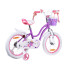 RoyalBaby Bērnu velosipēds STAR GIRL 16 collu grozs sānu riteņi RB16G-1