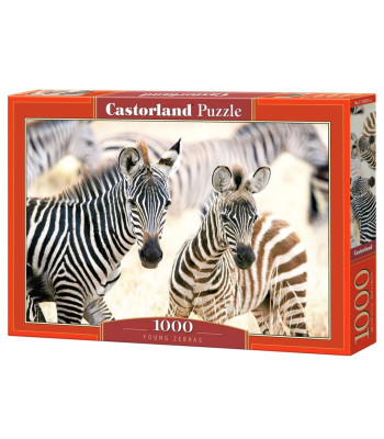 Puzle Young Zebras – zebras, C-105021, 1000 elementi, 68 x 47cm