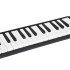 Muzikālais instruments Melodyka Harmonika ar klaviatūru, futrāli, diviem iemutiem IN0175