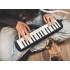 Muzikālais instruments Melodyka Harmonika ar klaviatūru, futrāli, diviem iemutiem IN0175