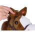 Hobby Horse zirgs uz kociņa, zviedziena un auļošanas skaņas, kustīgs purns ZA5442