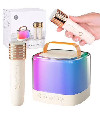 Bezvadu karaoke skaļrunis ar Bluetooth un 2 mikrofoniem IN0178