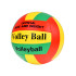 Pludmales un Iekštelpu Volejbola Bumba SP0817