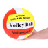 Pludmales un Iekštelpu Volejbola Bumba SP0817