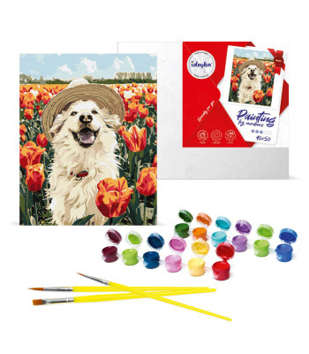 Komplekts krāsošanai pēc numuriem “Laimīgais labradors” KHO6623 40x50 AP0042