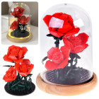 Podsvītrota roze zem kupola - 219 elementi