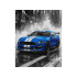 Krāsošana pēc numuriem 40x50 cm Zilā sacīkšu sporta automašīna AP0107
