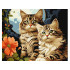 Gleznošana pēc numuriem 40x50 cm Magicīgie kaķēni
