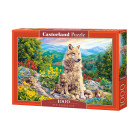 1000 Gabalu Mīkla Jaunā Paaudze