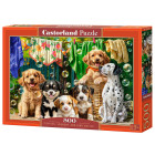 500 gabalu puzle Kucēni, Veļa un Putnu Joki B-54152