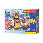 Mīklu 70 gab. Kaķēni ar ziediem