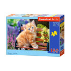 Ginger Kitten puzle 180 gabali