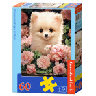Bērnu puzle Pomeranian Puppy in Roses, 60 elementi, B-066261