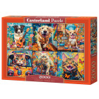Puzzle 2000 gabali Choose Your Pet