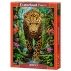 Leopards savvaļā Puzzle 2000 elementi