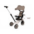 Bērnu trīsriteņu velosipēds, kas aug kopā ar bērnu Tiny Bike 5w1 SP0879