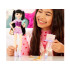Mattel Barbie Dream Besties Renee lelle ar aksesuāriem ZA6719