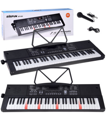 Klasiskais keyboard ar koka faktūras taustiņiem un mikrofonu, 61 taustiņš, IN0184