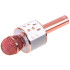 Bezvadu karaoke mikrofons ar Bluetooth skaļruni un balss modulāciju IN0136