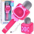 Bezvadu karaoke mikrofons bērniem ar ierakstīšanu un Bluetooth IN0168