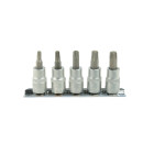 Torx uzgaļu atslēgu komplekts, 5 gab., CRV, 3/8" T25–T50 (10/30)