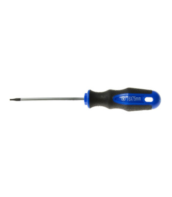 Torx skrūvgriezis GEKO (10/100) T6x75 mm