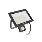LED prožektors ar kustības sensoru, auksti balta gaisma 6500K, 50W