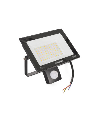 LED prožektors ar kustības sensoru, auksti balta gaisma 6500K, 50W