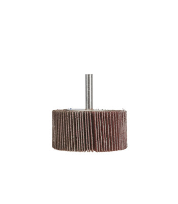 Lamelu slīpripa ar kātu P120 (10/200), 60 x 30 x 6 mm