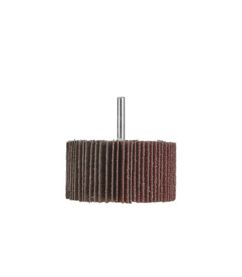 Lamelu slīpripa ar kātu P60 (10/100), 80x40x6 mm