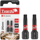Triecienuzgalis (2/10/50/500) T20 25mm S2