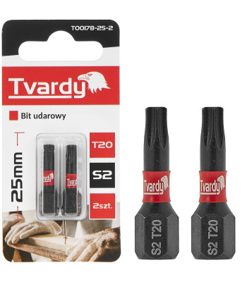 Triecienuzgalis (2/10/50/500) T20 25mm S2