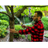 Dārza zāģis ar āķi 32 cm SK5
