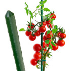 Tērauda dārza mietiņš ar PCV pārklājumu, 16 mm x 210 cm