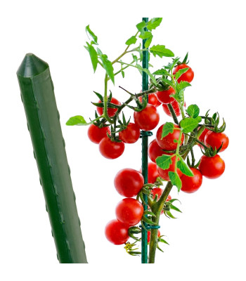 Tērauda dārza mietiņš ar PCV pārklājumu, 16 mm x 210 cm