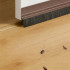 Pašlīmējoša durvju birstes blīvlīste, balta, 2cm x 100cm