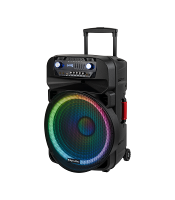 Aktīvā skaļruņu sistēma ar 2 bezvadu UHF mikrofoniem, SD, Bluetooth, FM, USB, LED, 60 Watt KM 1718