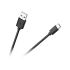 Akumulatora darbnīcas lampa