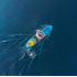 SUP dēlis Rebel Active, zils, RBA4500
