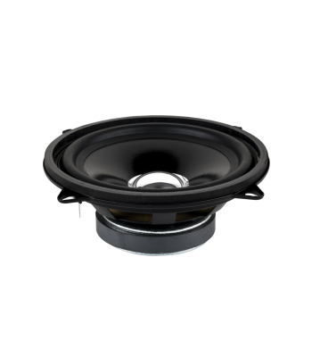 Skaļrunis ar stiprinājuma cilpām DBS-G1301 4 Ohm 5
