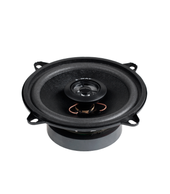 Skaļrunis 2WAY/100W WS-1312TW 5