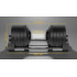 Regulējama čuguna hantele Rebel Active, 36 kg