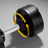 Regulējama čuguna hantele Rebel Active 36 kg