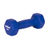 Čuguna hanteles ar neopēna pārklājumu HEX REBEL ACTIVE, 2x1,5 kg