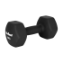 Čuguna neoprēna HEX hanteles REBEL ACTIVE 2x10kg