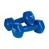 Čuguna vinila hanteles REBEL ACTIVE HEX 2 x 1,5 kg