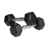 Gumijotas čuguna HEX hanteles REBEL ACTIVE 2x2.5 kg