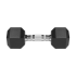 Čuguna gumijotas HEX hanteles Rebel Active 2x6 kg